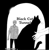 Black Cat Tunnel