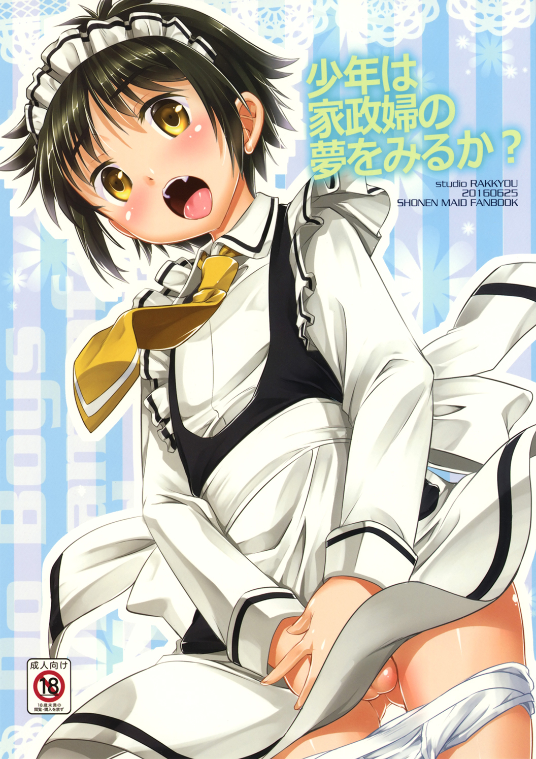 Shounen Maid - Shounen wa Kaseifu no Yume o Miru ka? (Doujinshi)