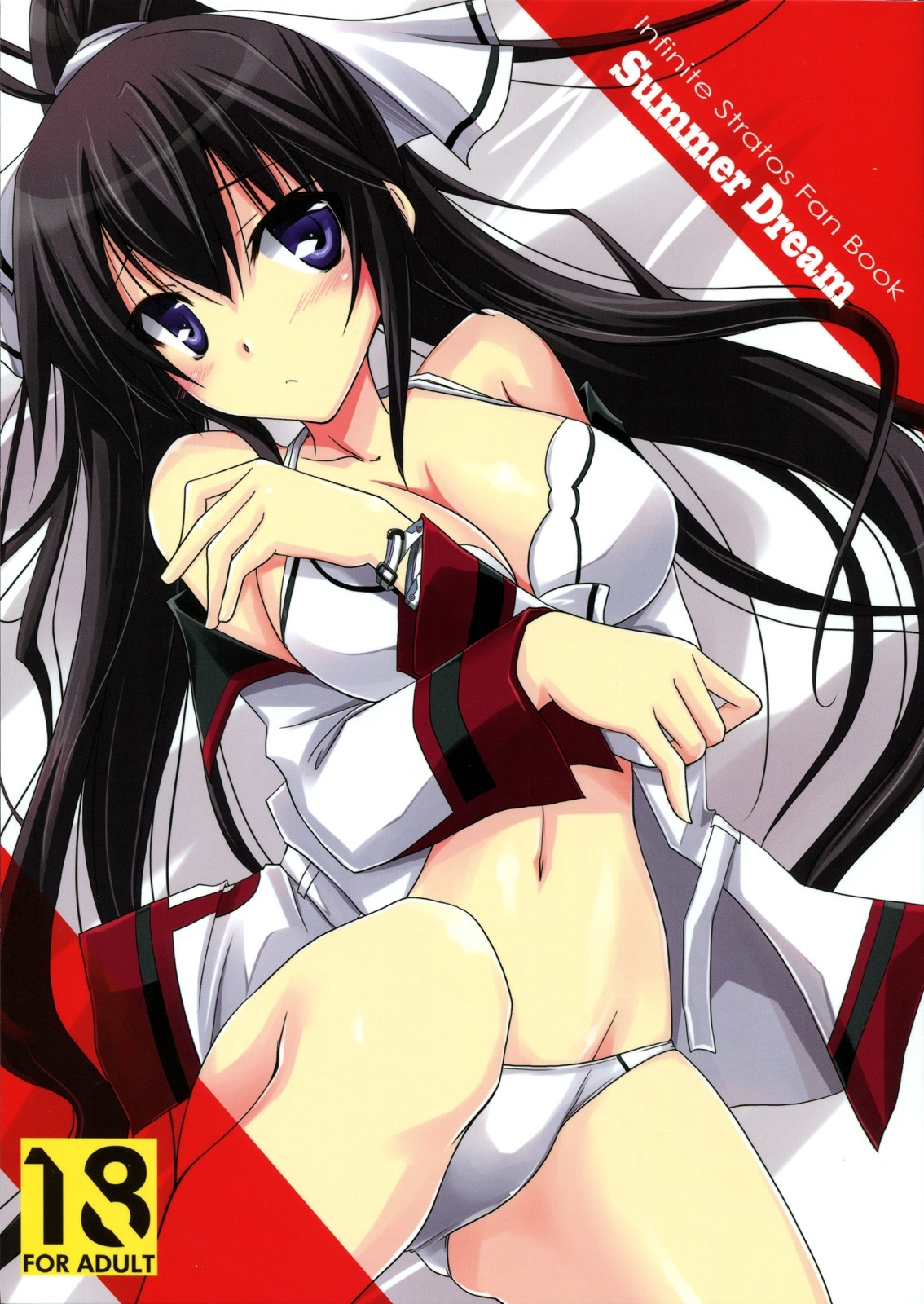 Infinite Stratos - Summer Dream (Doujinshi)