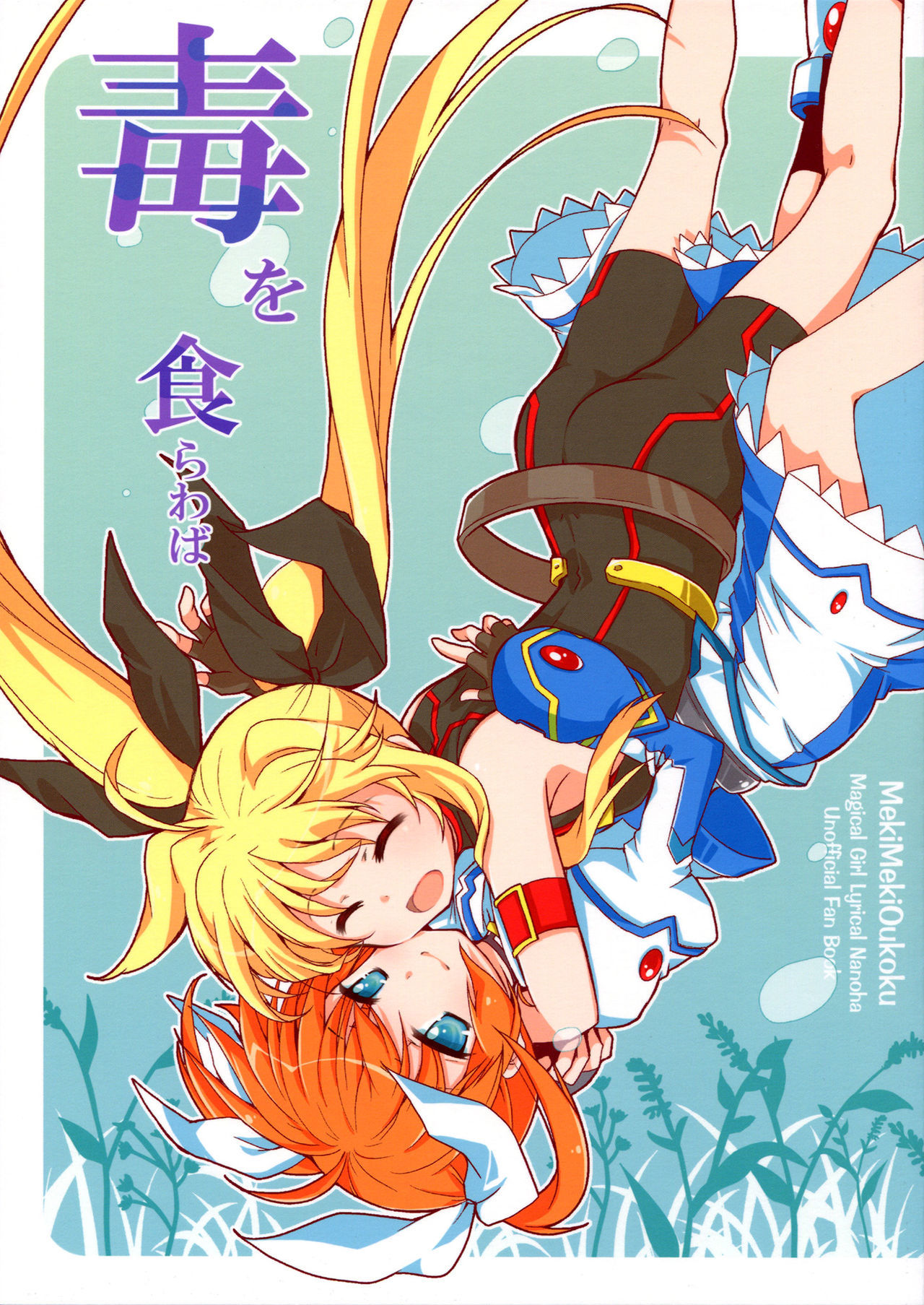 Mahou Shoujo Lyrical Nanoha - In For A Dime... (Doujinshi)