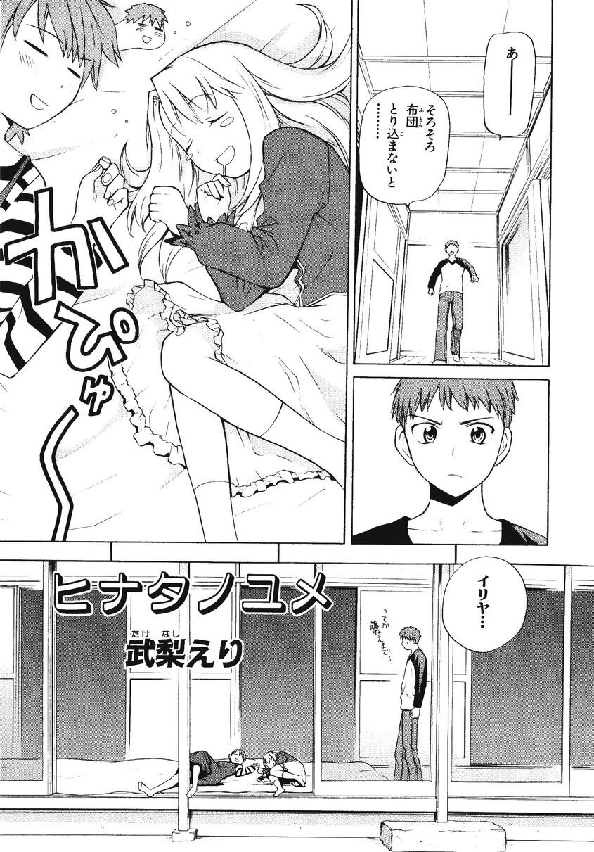 Fate/Stay Night - Hinata no Yume (Doujinshi)