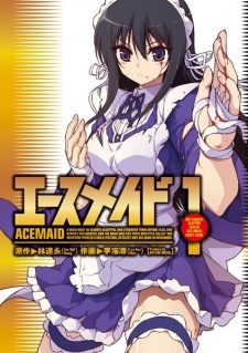 Ace Maid