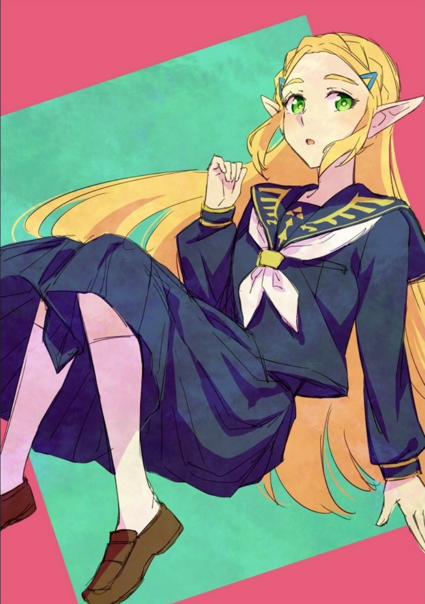 The Legend of Zelda Breath of the Wild - Why does BotW Link cross-dress? (Doujinshi)