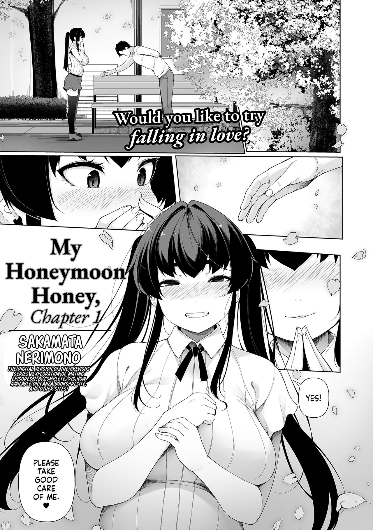 My Honeymoon Honey