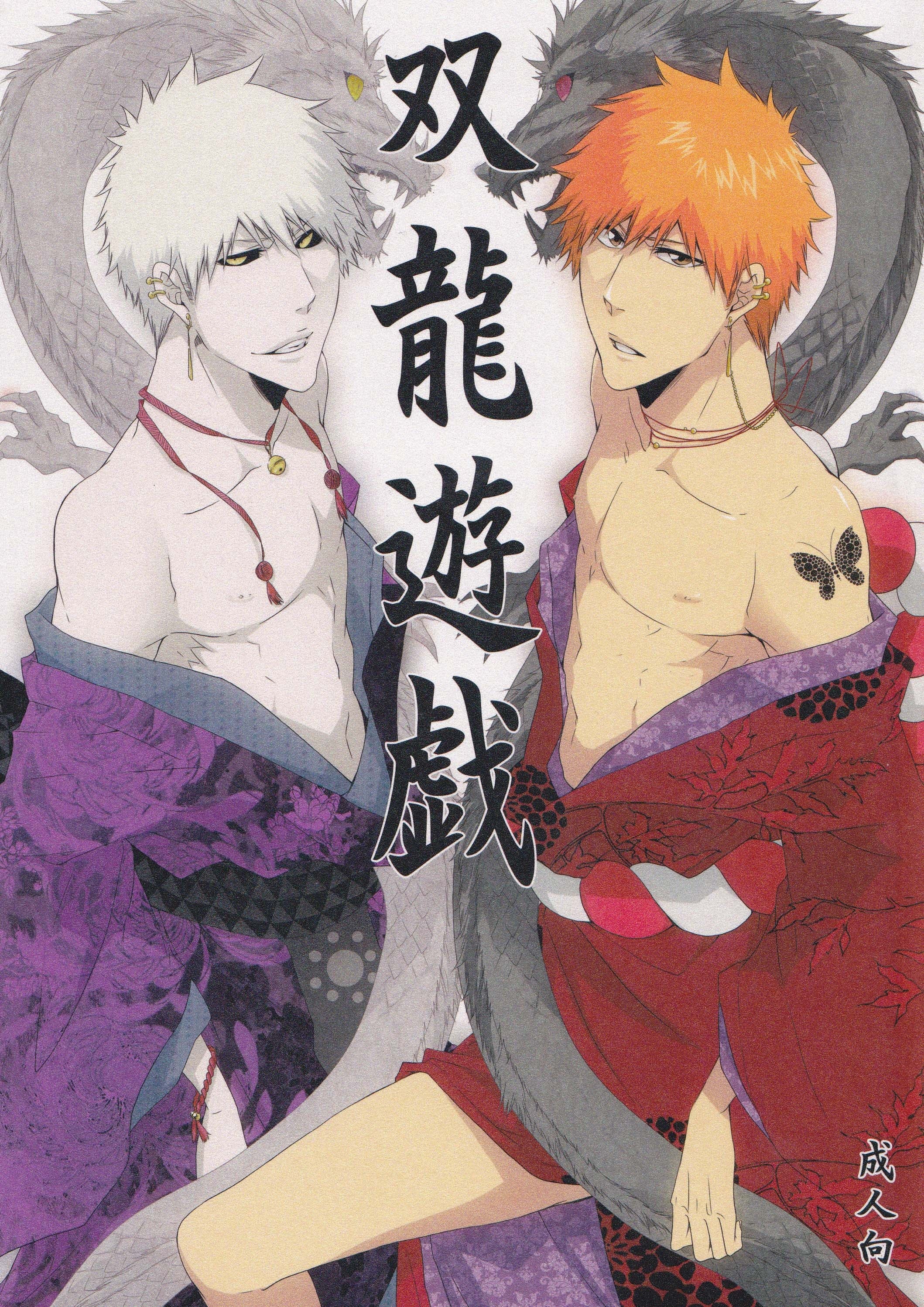 Bleach - Play of the Twin Dragons (Doujinshi)