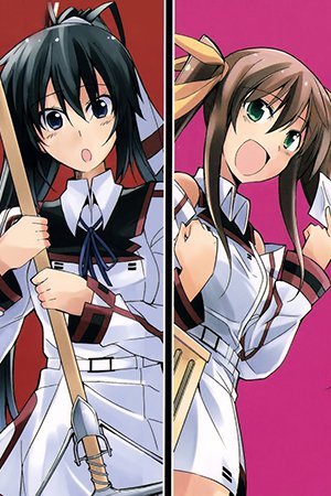 Infinite Stratos - Sorezoreno Kyujitsu (Doujinshi)