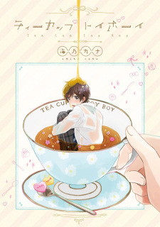 Teacup Toy Boy