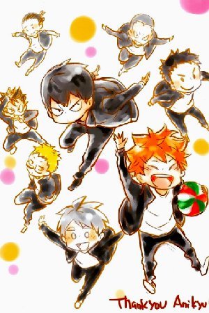 Haikyuu!! dj: Thank you, Anikyu!